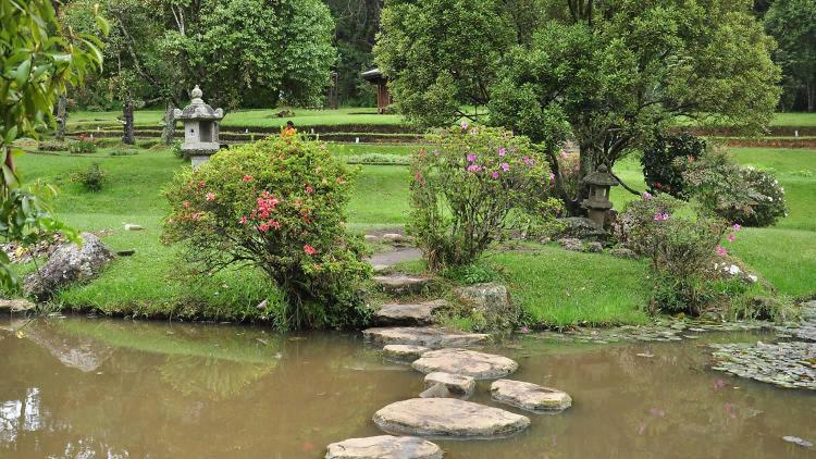 Appartamento Avenue Nuwara Eliya Esterno foto